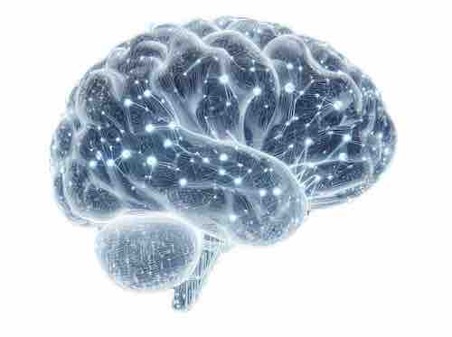 Neurowissenschaft der Rekrutierung